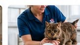 Veterinary Support Staff
